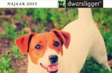 najaar 2015-dwarsligger-hires_klein